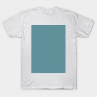 Evelyns teal T-Shirt